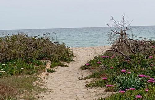 Loft con encanto en Creixell - Foto 26