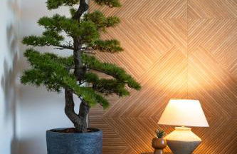 Priolo in Ponta Delgada - 5th floor Apartment - Photo 14