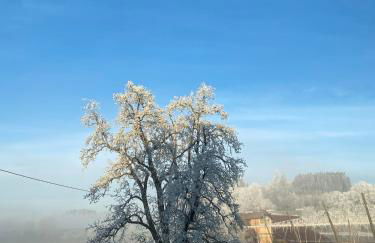 Ferienwohnung Hopfenblick Dachterasse 3SZ Bodenseeregion - Foto 30