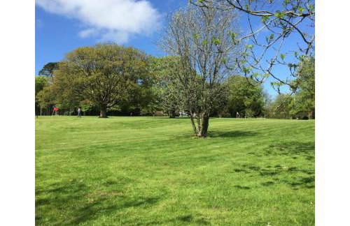 Cornish Holiday - 91 Hengar Manor - Foto 27