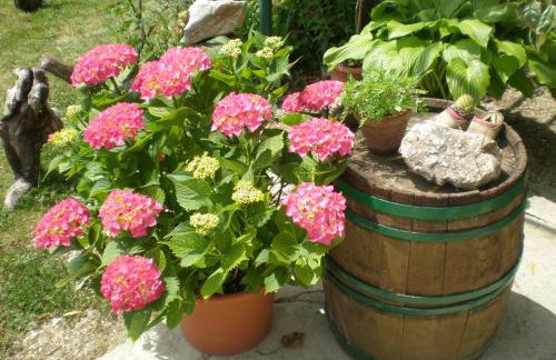 Holiday house with a swimming pool Cepic, Central Istria - Sredisnja Istra - 7403 - Foto 14