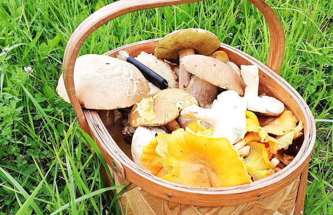 4 Person Holiday Home in Stjarnhov - Foto 14