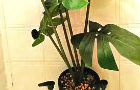 Sea view house I - Foto 29