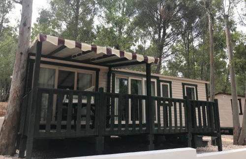 Villaggio Camping Golfo di Arzachena - Foto 6