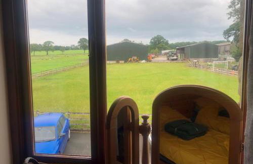 Mallard at Spring Head Farm - Foto 19