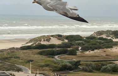 Mathilda front de mer 9e étage - Foto 1