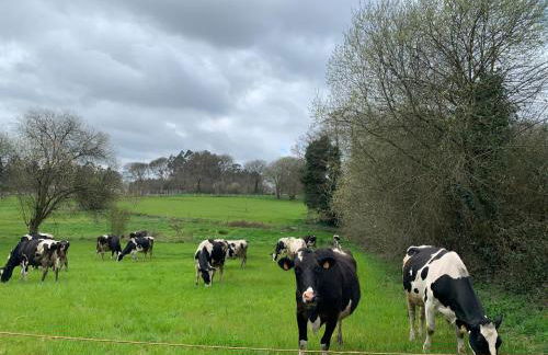 Casa Otilia - Rural - Camino de Santiago - Arzúa - Foto 59