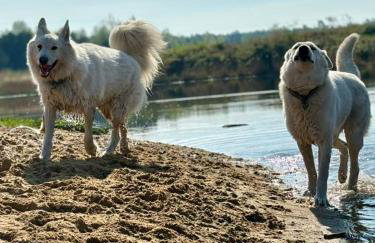 Agroturystyka Traperska Osada - Foto 69