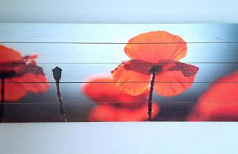 Niederrheinhaus - Foto 17