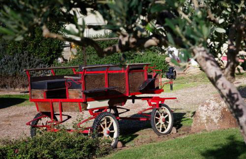 Agriturismo S'Ispiga - Foto 28