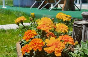 Cosy home D&D - Foto 12