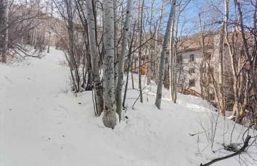 Renovated 2 BR Aspen Condo Ski-in out - Foto 45