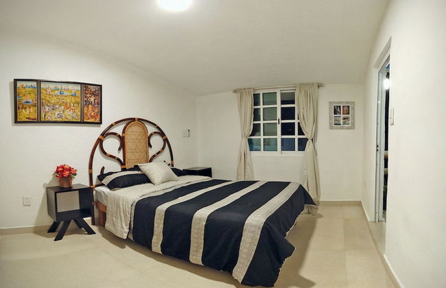 HominngBird - Foto 10