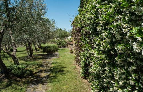 La Casa delle Rose - Photo 48