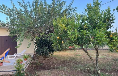 Casa Primula - Family Country House immersa nel verde a 5 min dal Mare - Foto 29