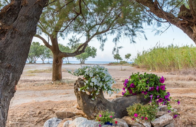 Aadonis Villa - Foto 49