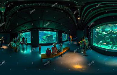 Creta guesthouse ARXONTIKO! - Foto 60