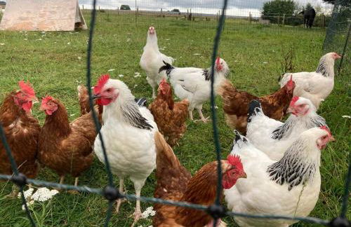 Light & Airy Vaulted Barn Conversion with a View - Photo 21