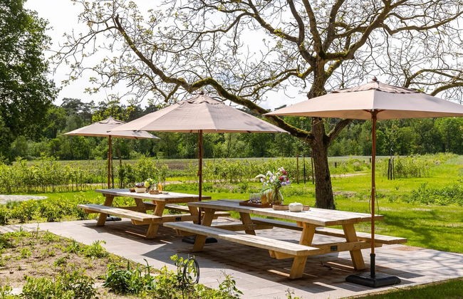 BE SCH Haar 50 in Schilde - Photo 72