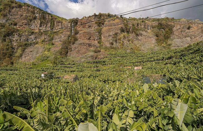 Oscars House, Quiet Area for Small Families - Foto 20