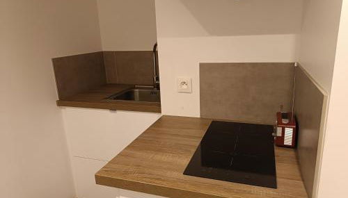 Les hortensias - Photo 5