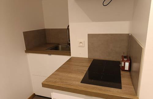 Les hortensias - Photo 5