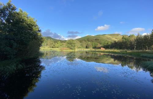 Rabbie Burns Lodge - Photo 38