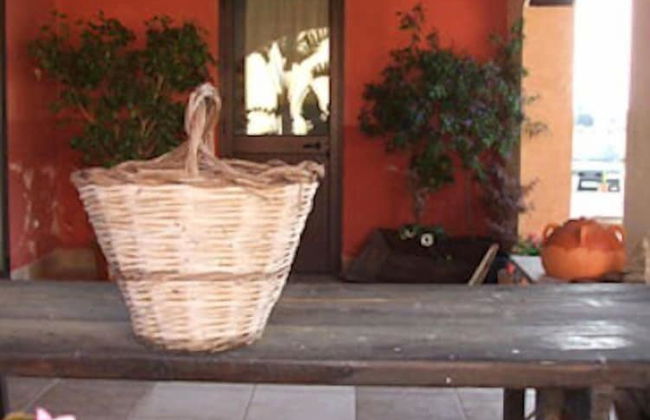 Le Terre di San Domenico - Photo 46