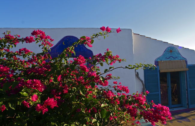 Poecylia Resort - Photo 30