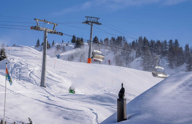 Krone Apartment - Foto 9