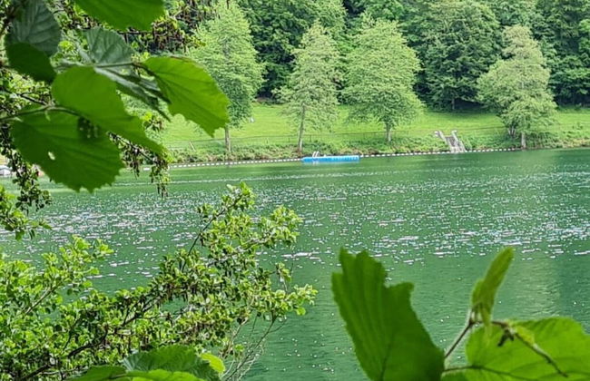 Maarchalet Modern Retreat - Photo 19