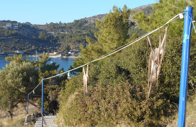 Holiday Apartment With sea View and Mountains View - Foto 26