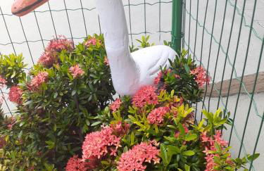 Casa na Praia em Maceió apenas a 120 mts do Mar - Foto 29