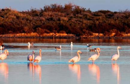 40m2 Cozy DON TOMAS 100m beach - Foto 10