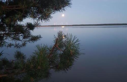 Blick zum See - Foto 11