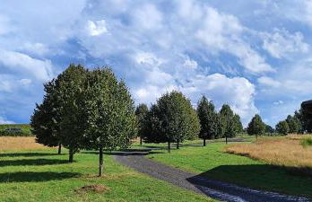 Domaine équestre de la Chênaie - Foto 42