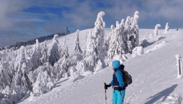 Two apartments in one house - Ferienhaus Matz - Foto 3