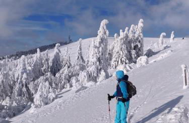 Two apartments in one house - Ferienhaus Matz - Foto 3