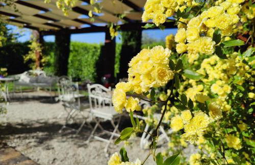 Ca' le cerque, villa surrounded by the Marche nature - Foto 35