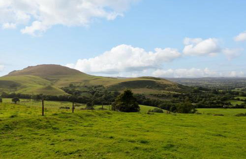 Grove Farm - Foto 72