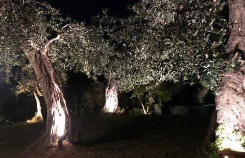 Casa Sofia - Foto 38