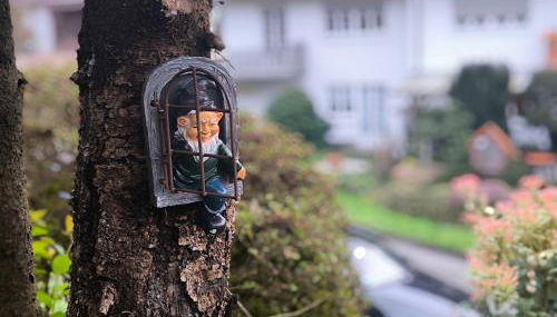 Ferienhaus The Himmelsteig - Foto 4, Garden