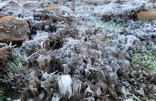 Cabana Pequeno Bosque som dás Águas - Foto 52