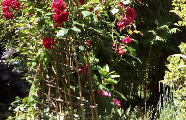 Le Logis d'Elisa - Foto 24