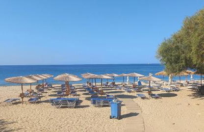 Apollon (ex. Albatros) - Foto 51