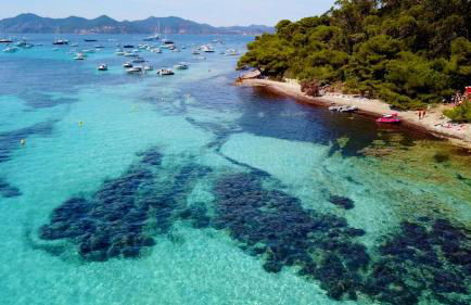 Cannes CROISETTE, Palais des Festivals, Beaches, Apart Residence Le MINERVE - Foto 21