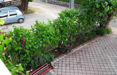 Apartments with a parking space Sosi, Umag - 15967 - Photo 23