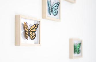 Sweet Aulne - Foto 15