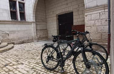 L'âme de la Renaissance Plumereau - PARKING PRIVÉ - Foto 19