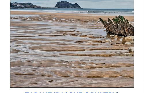 Apartamentos Boutique ALTZOAN & Parking FREE - Foto 41